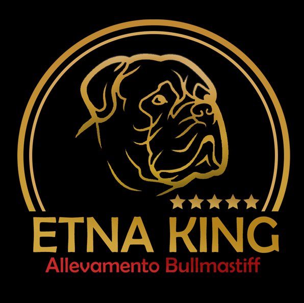 bullmastiff Etna
